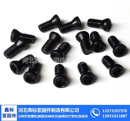 梅花螺絲 保定梅花絲 鑫標(biāo)緊固件你值得擁有