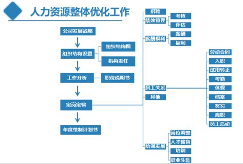 從人力資源專員到總監的技能進階地圖 涵蓋計算機軟硬件技術研發領域的全面規劃